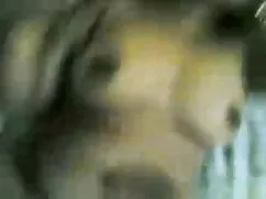 तीन भारतीय शौकिया हि ...