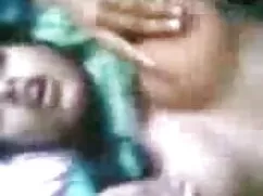 कुत्ते शैली ट्रिपल ए ...
