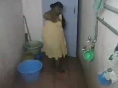 सूअर का बच्चा आकर्षक ...