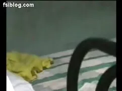 दादी छेड़ो कैम - हिं ...