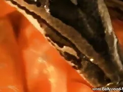 घर का बना वेब कैमरा  ...