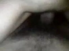 वेबकैम पर खिलौने और  ...