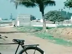 लाल बालों वाली बिल्ल ...