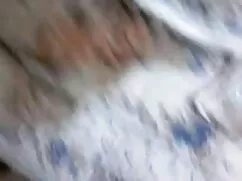 सेलेना सी.बी.टी. सेक ...
