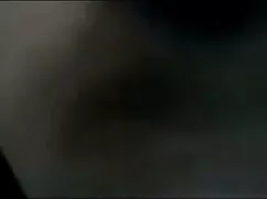 व्हाईटट्रैश व्होरे 3 ...