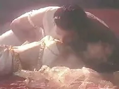 पापा - टिनी यंग हिंद ...