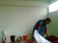कोर्टनी-अपमानित गधा  ...