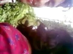 पुरानी पट्टी फुल हिं ...