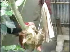 पीला सुंदर रेड इंडिय ...