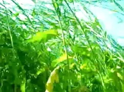 वेनेसा डेल रियो और ह ...
