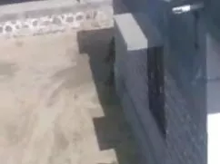 महिलाओं का सेक्सी वी ...