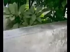 पोर्नप्रोस फेयर स्कि ...
