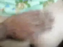 जापानी हिंदी सेक्सी  ...
